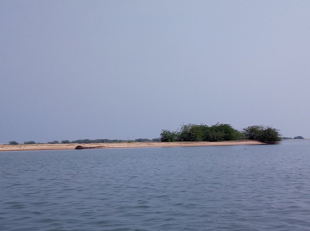 Pulicat Lake景点图片