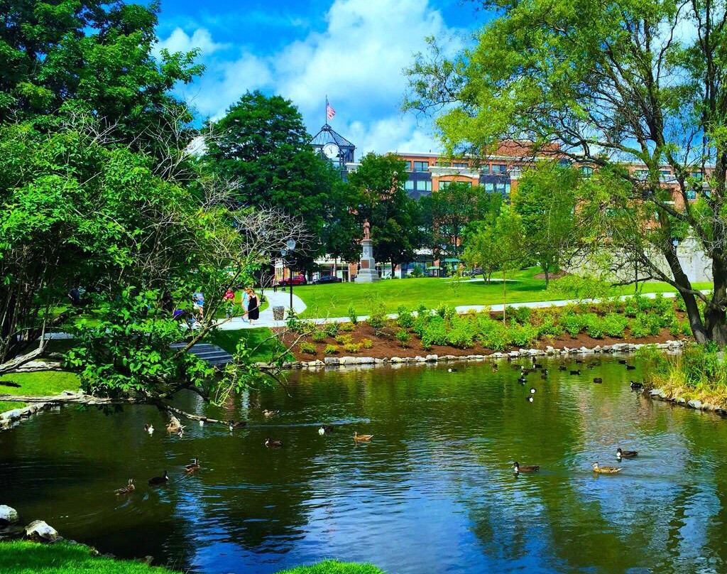 null-萨拉托加温泉