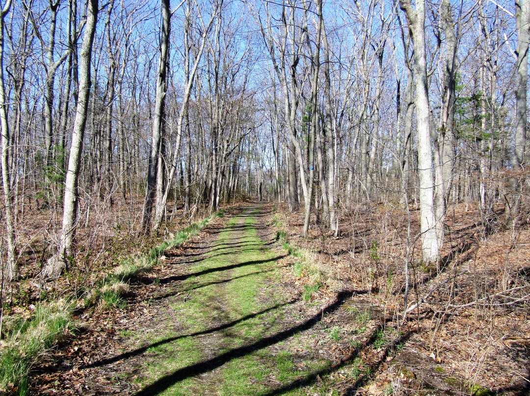 Rough Meadows Wildlife Sanctuary景点图片