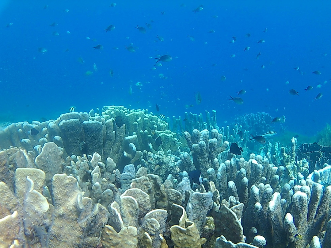 Pulau Dua-Tambrauw必去景点