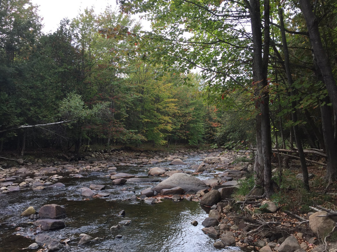 Almanzo Wilder Homestead-Burke必去景点
