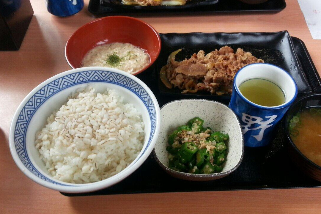 吉野家 １３６号線伊豆長岡店