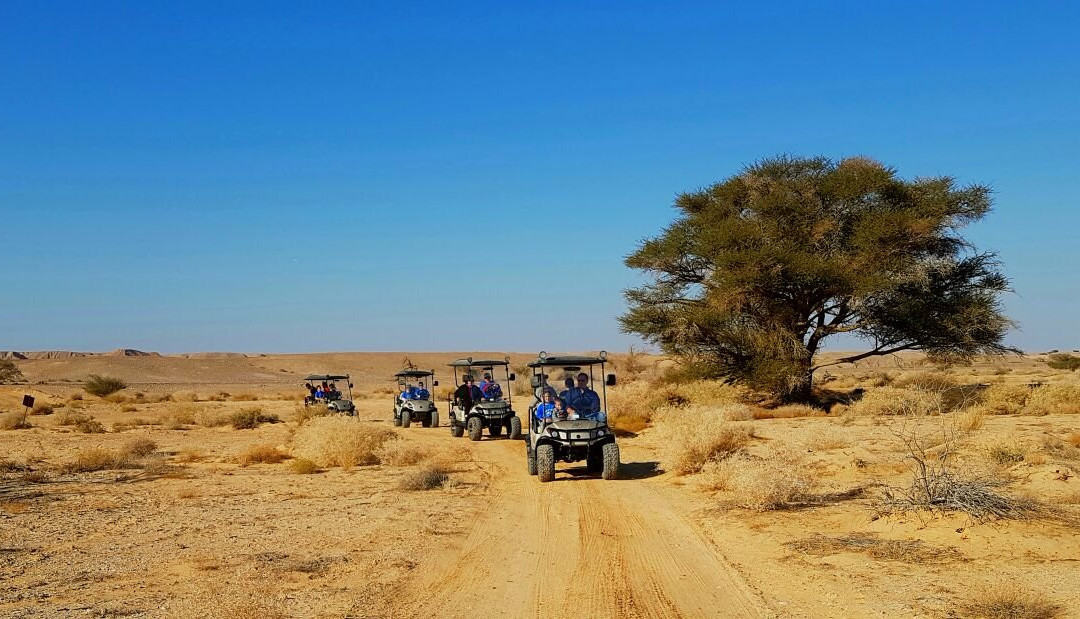 Ein Yahav旅游攻略图片