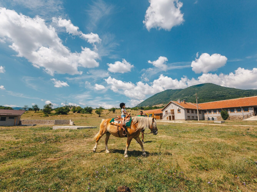 Rozino Organic Farm景点图片