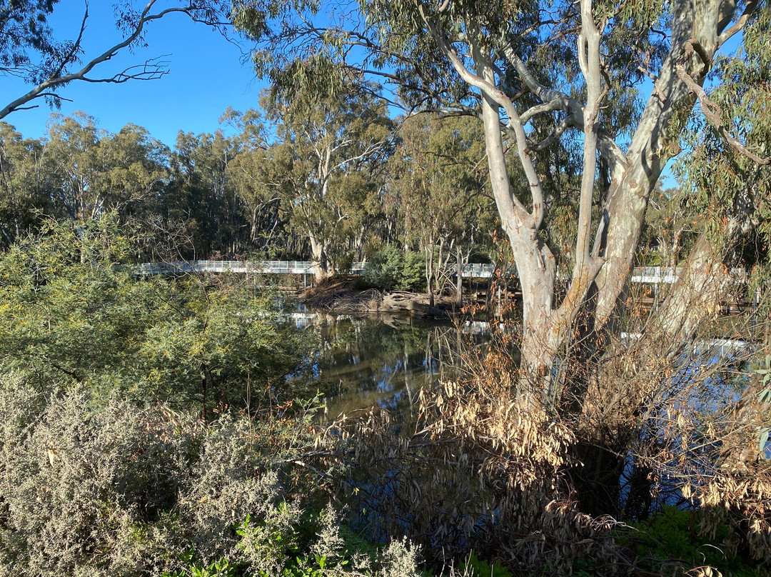 Moama Beach景点图片