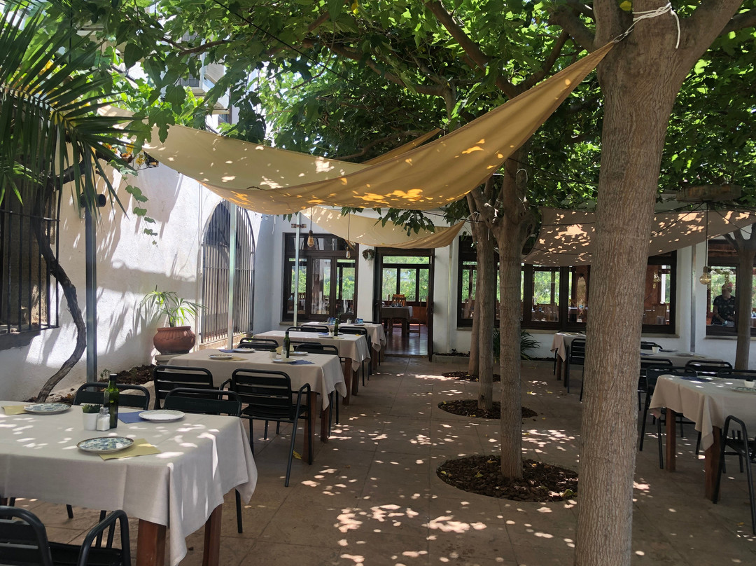 Cabrils餐馆和美食-Nou Gras Restaurant