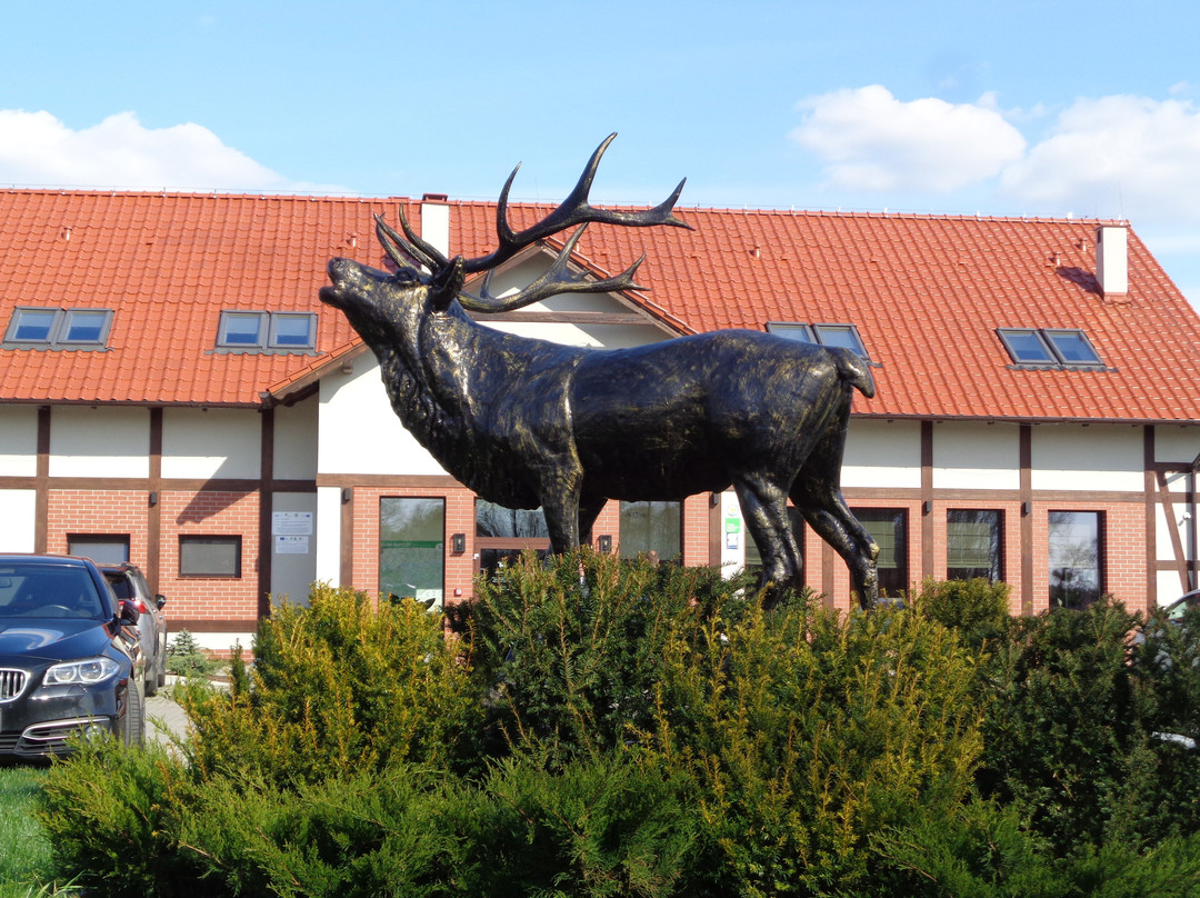 Hubertowka Pension