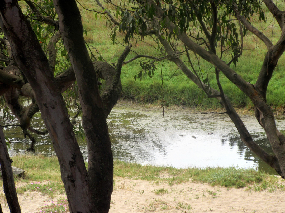 Moore Creek Wildlife Preserve-圣克鲁斯必去景点