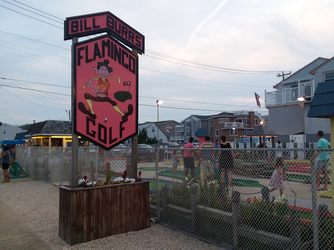 Flamingo Miniature Golf Course景点图片