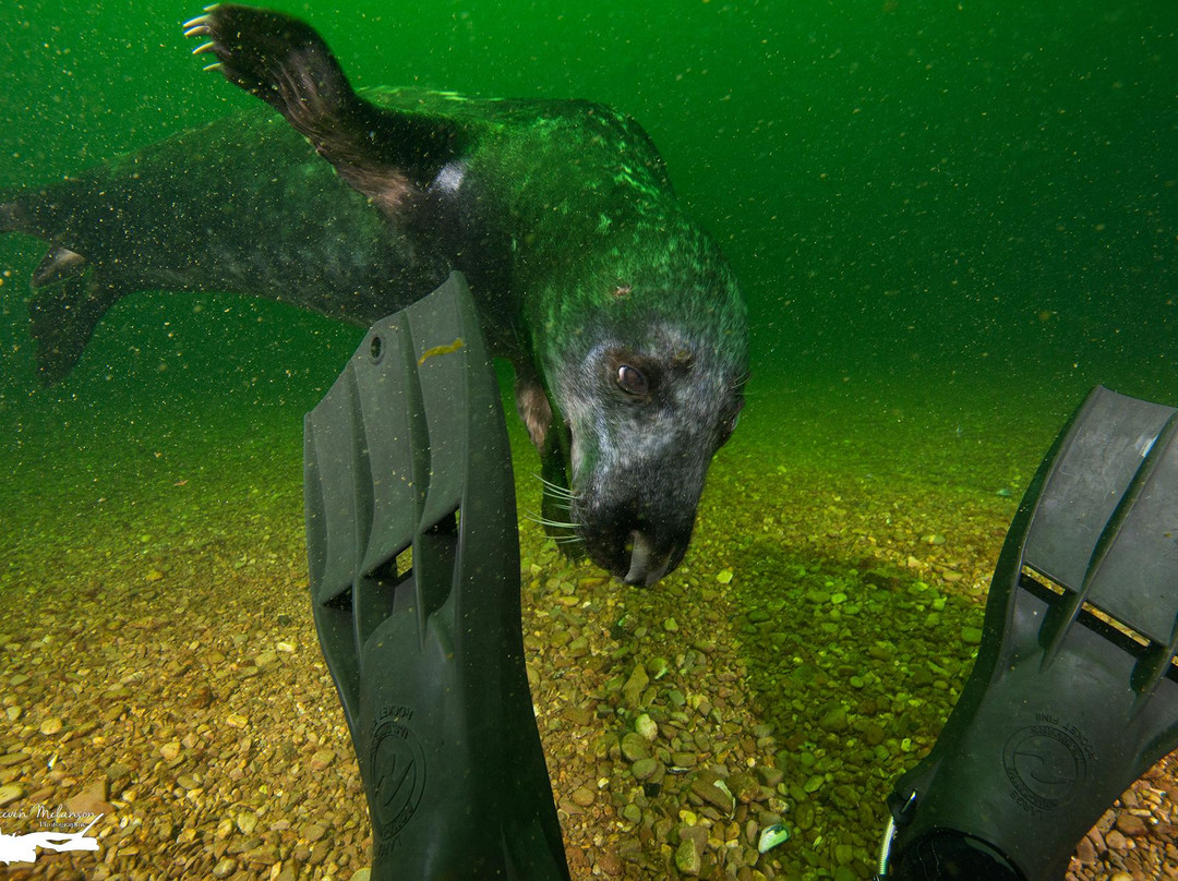 Club Nautique de Percé-Perce必去景点