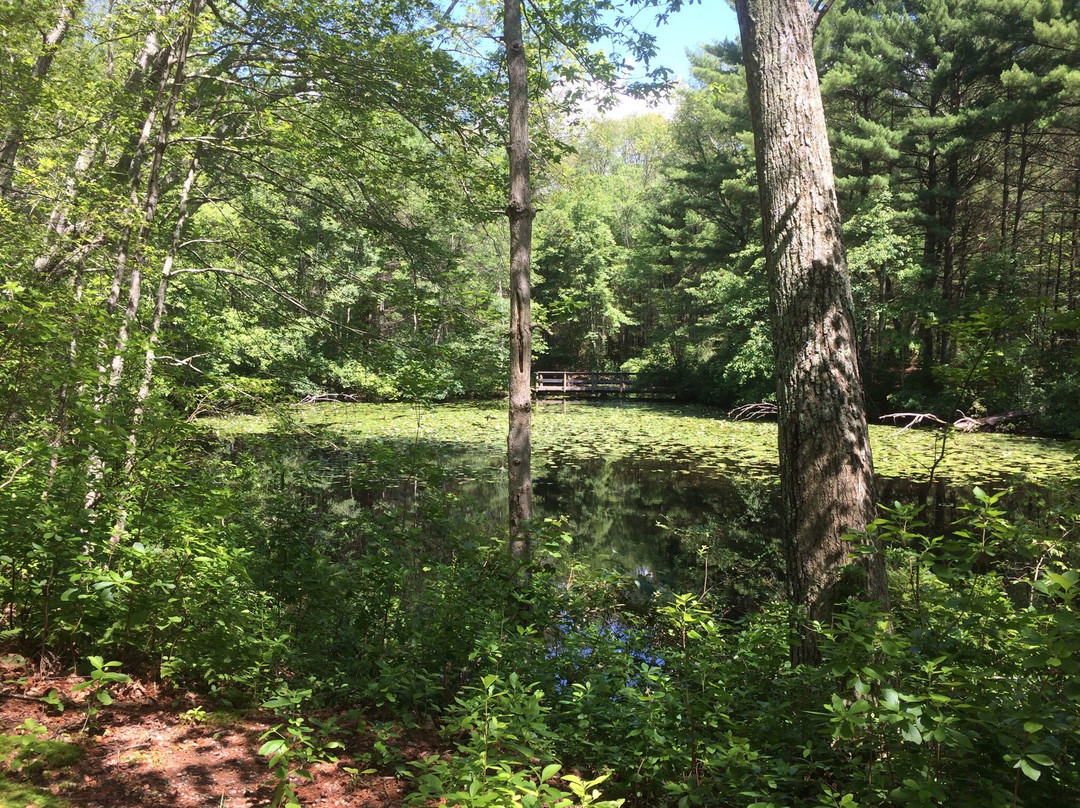 Hopeville Pond State Park景点图片