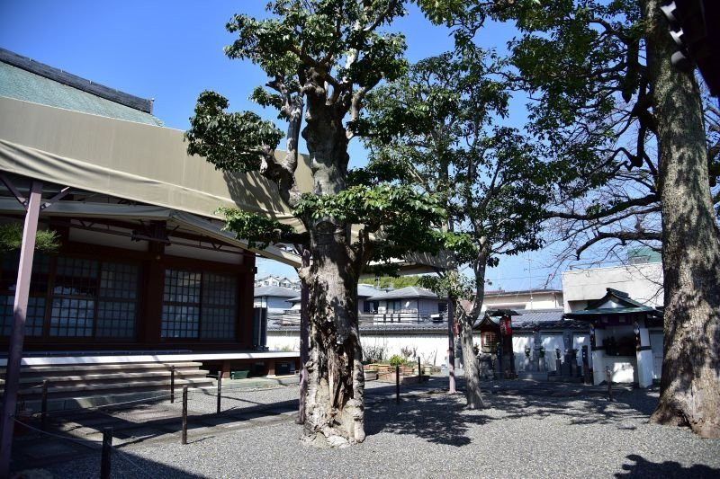 Keisho-in Temple景点图片
