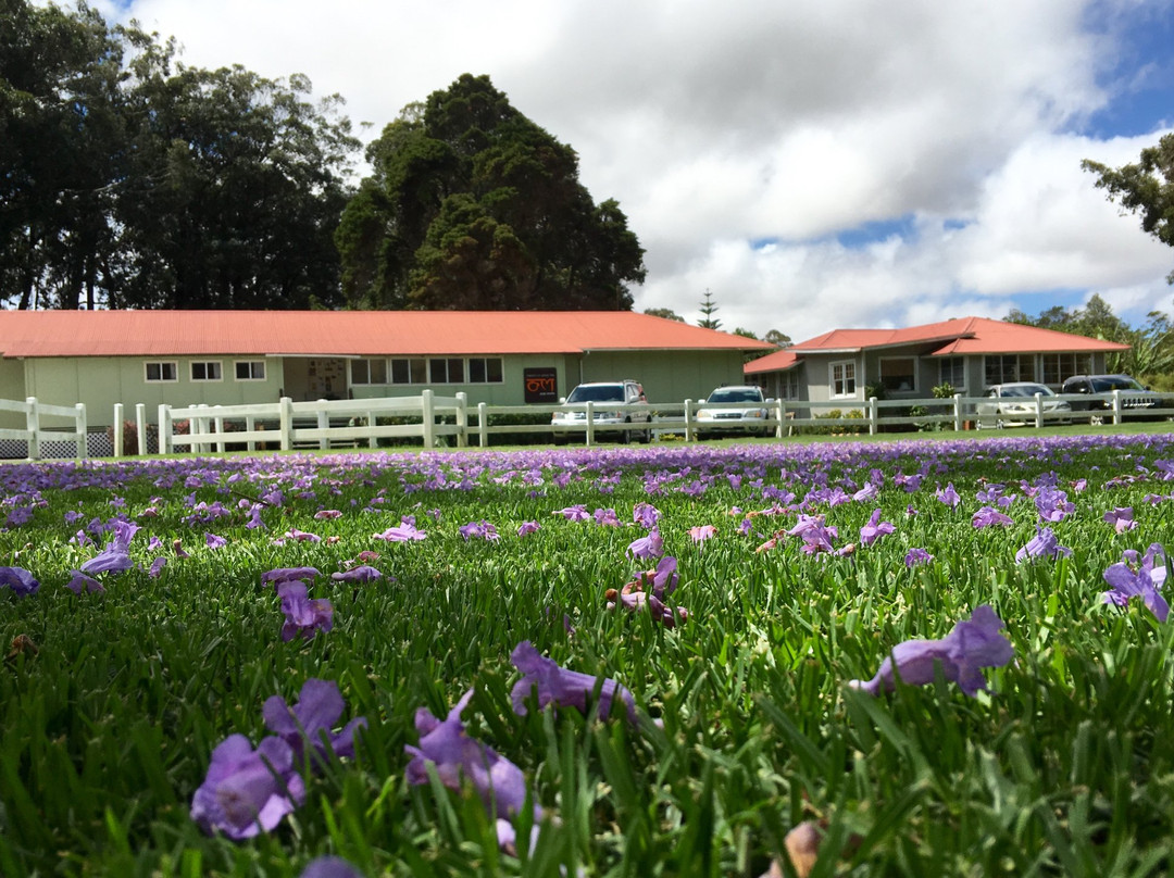 There's No Place Like Om Yoga-卡慕也拉必去景点