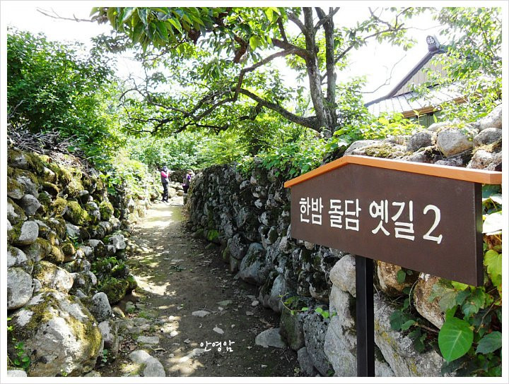 军威郡旅游景点-Haengbokhan Bam Maeul