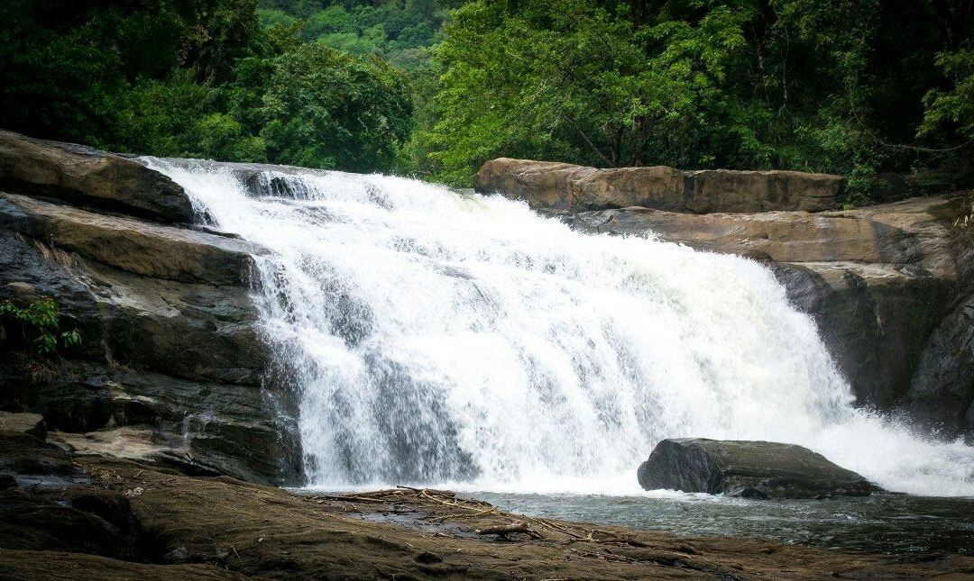 Thommankuthu Waterfalls景点图片