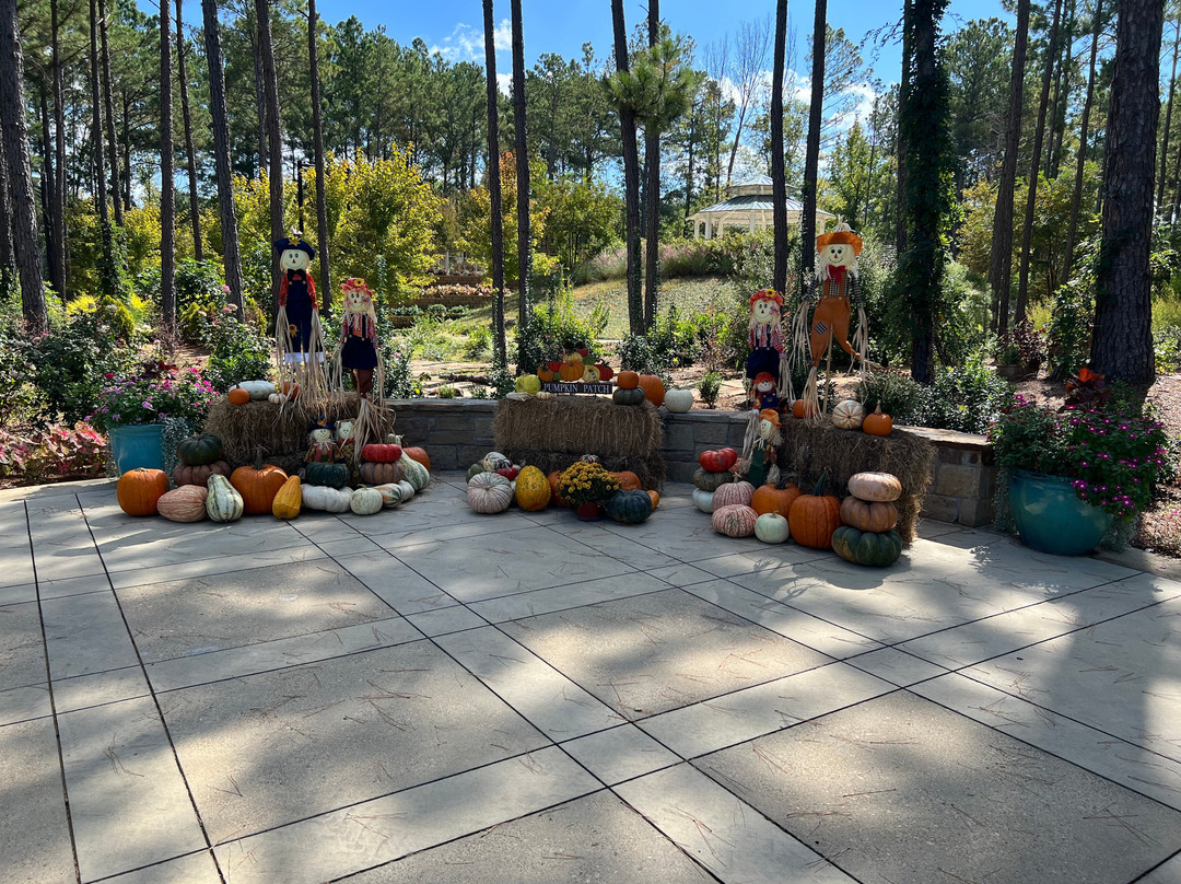 Longview Arboretum and Nature Center景点图片