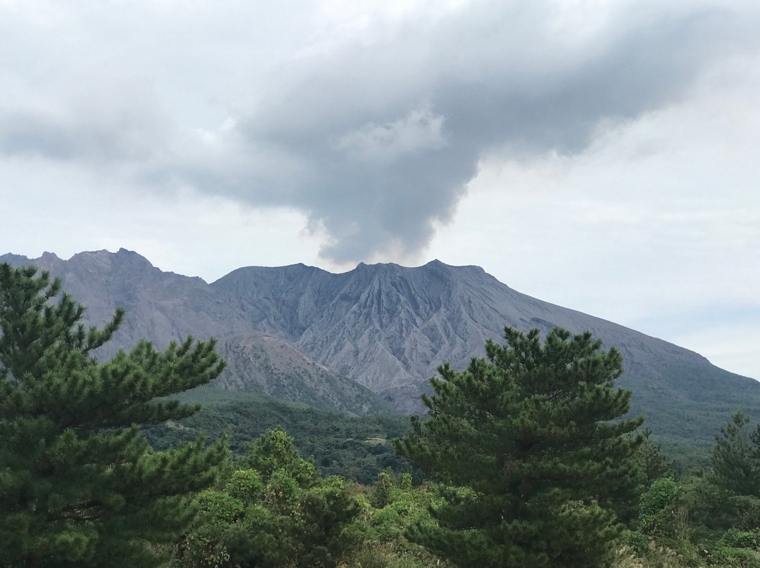 樱岛火山景点图片