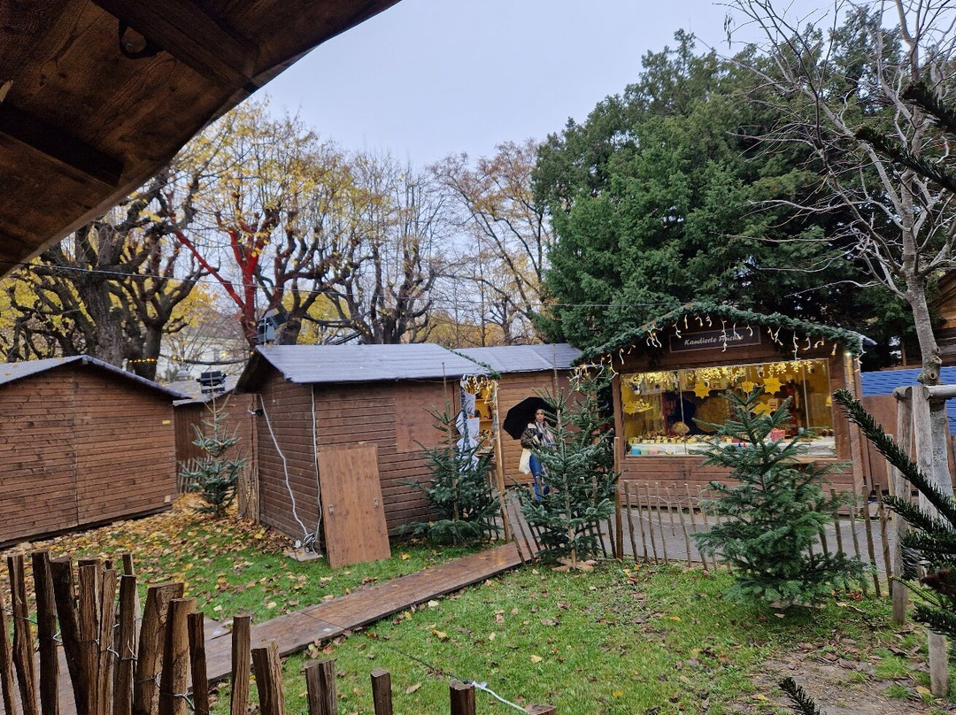 Christmas Village Altes AKH-维也纳必去景点