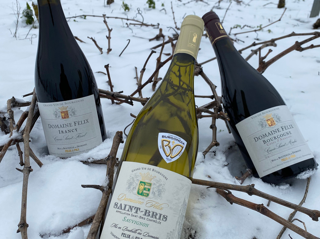 Domaine Felix景点图片