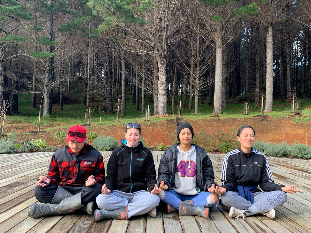 Earth Village New Zealand景点图片