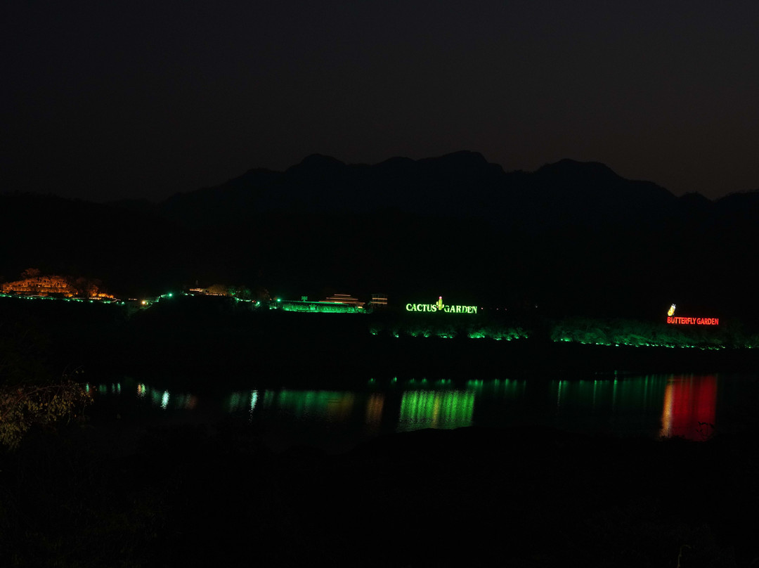 Cactus Garden-Kevadia必去景点