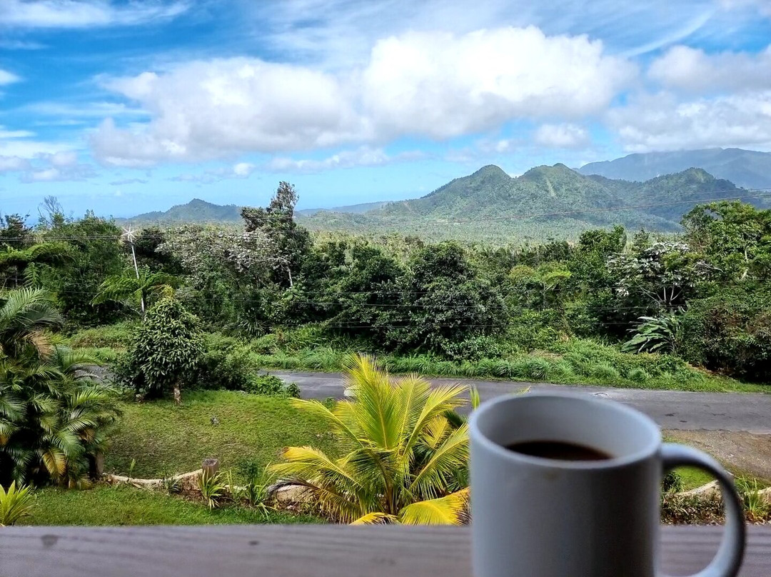 Trois Piton Apartments主图