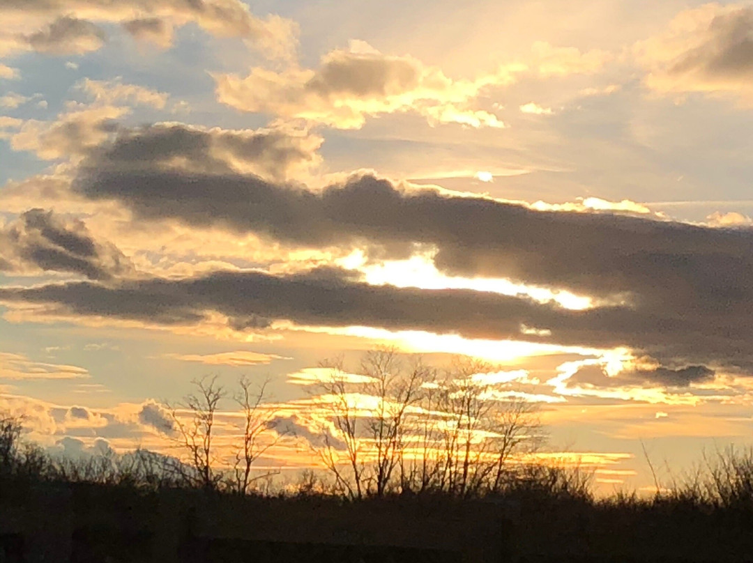 Silver Sands State Park-米尔福德必去景点