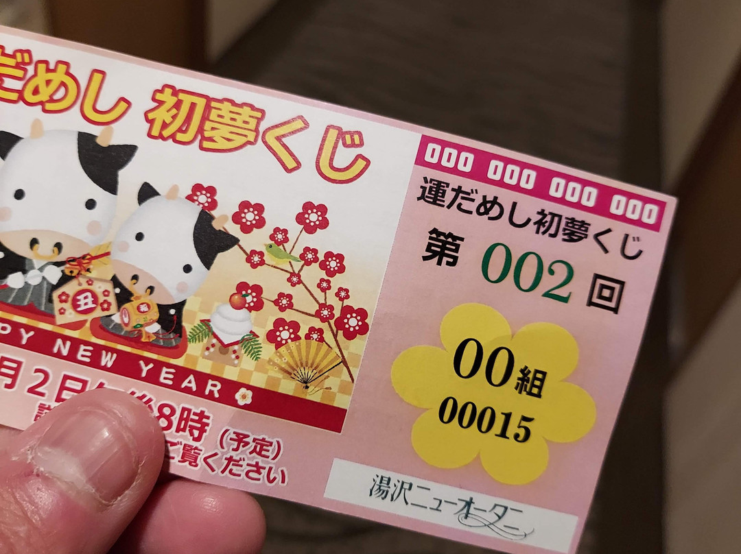 Yuzawa New Otani Hotel主图