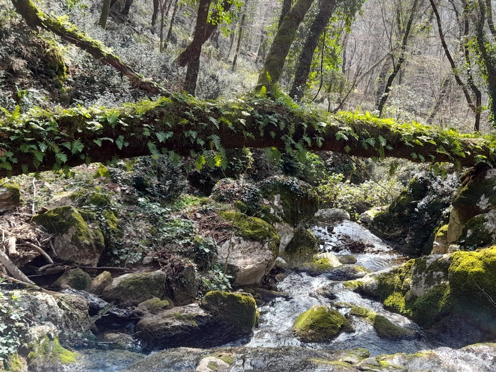Monumento Naturale Valle delle Cannucceta景点图片