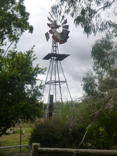 Edendale Community Environment Farm景点图片