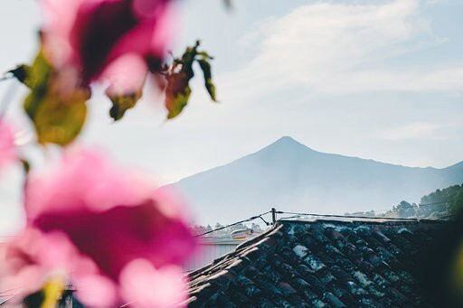 Finca El Lance主图