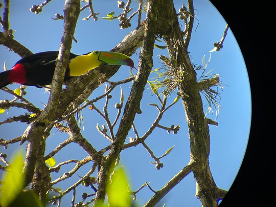 Three Brothers Tours-圣埃伦娜必去景点