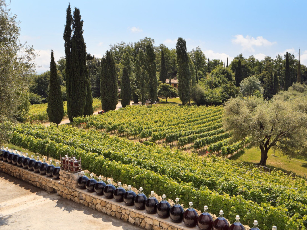 Domaine Des Hautes Collines景点图片