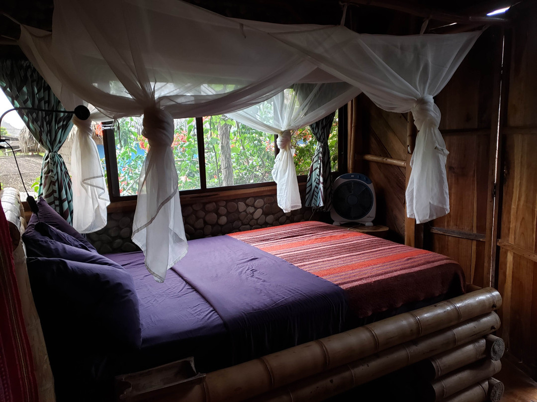 Vistamar Guest House主图