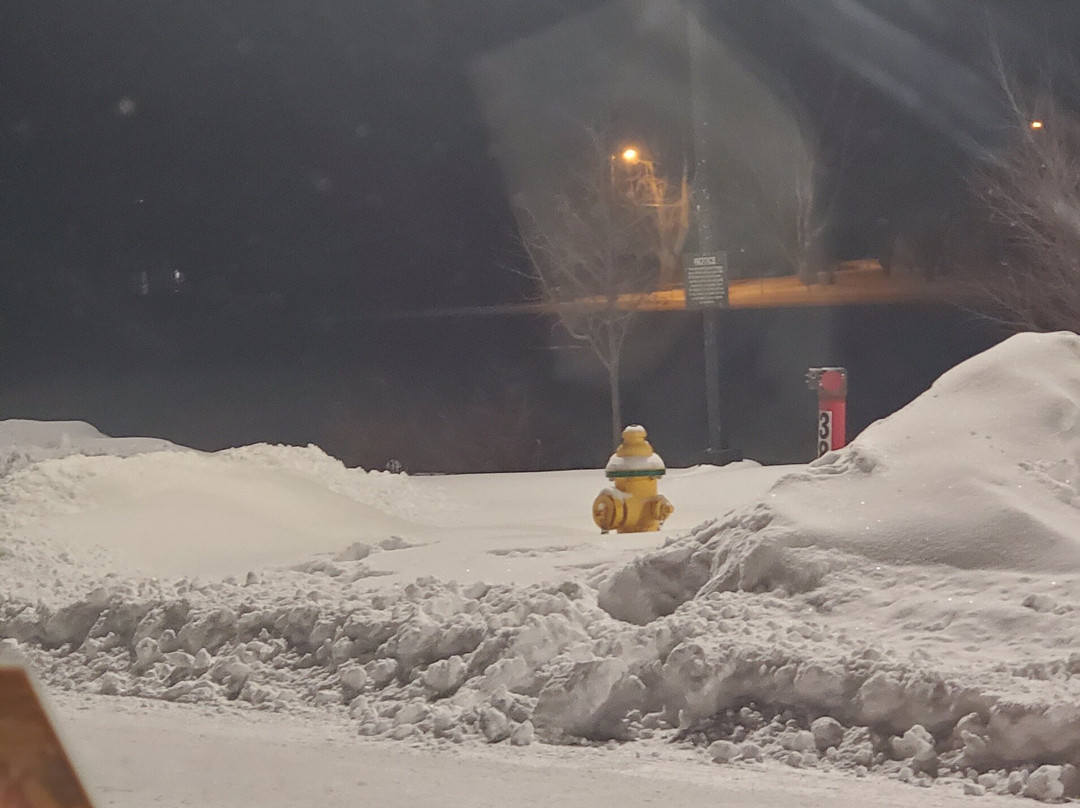 Residence Inn Lafayette主图