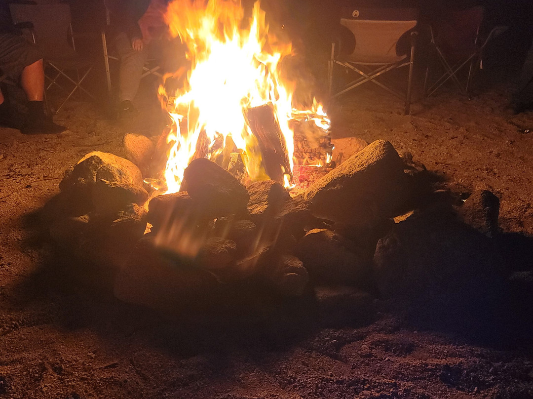 Mojave Desert-加利福尼亚必去景点