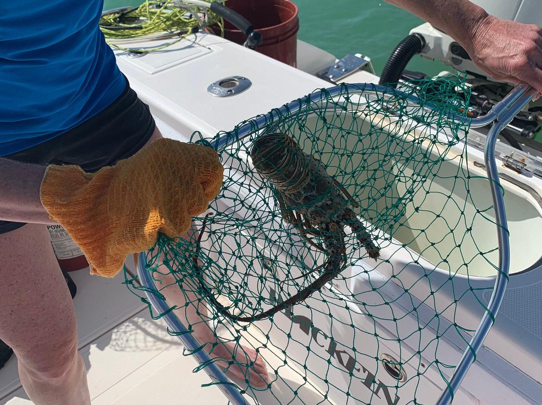 FinFreak Sport Fishing景点图片