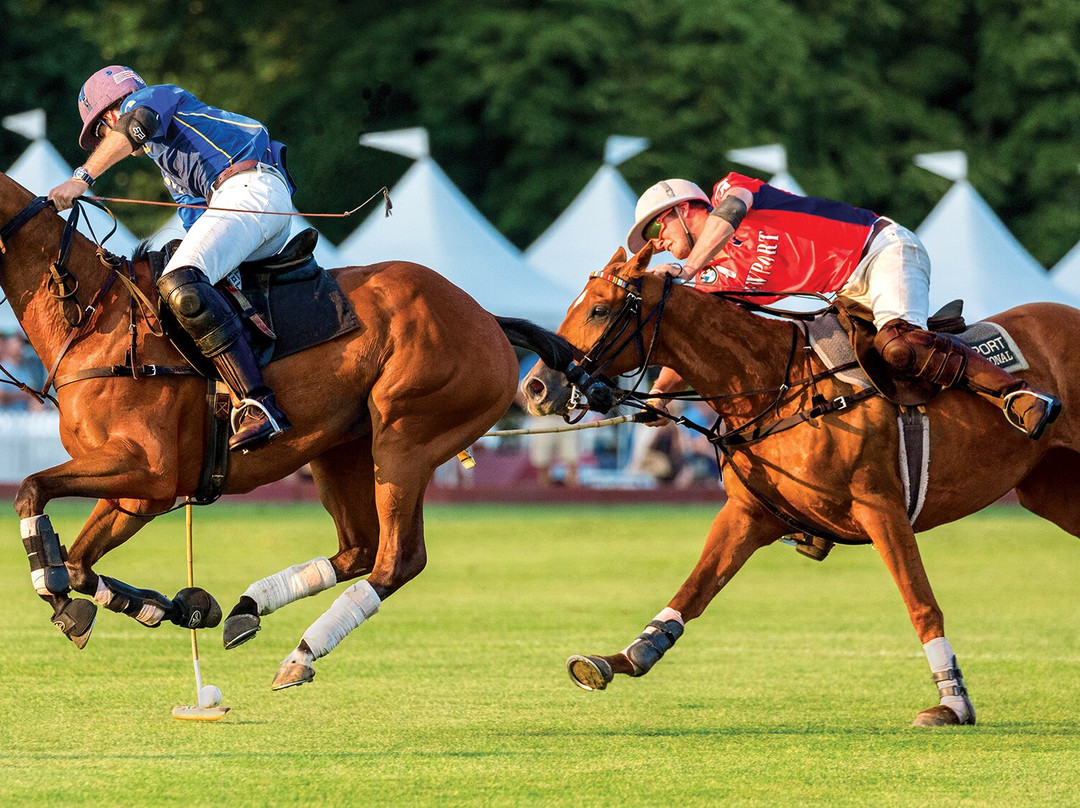 Newport Polo-Portsmouth必去景点