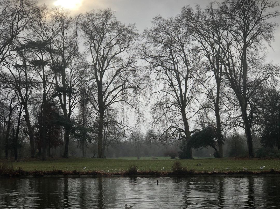 Lac Daumesnil景点图片