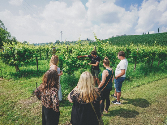 WaysTours - Venice-威尼斯必去景点