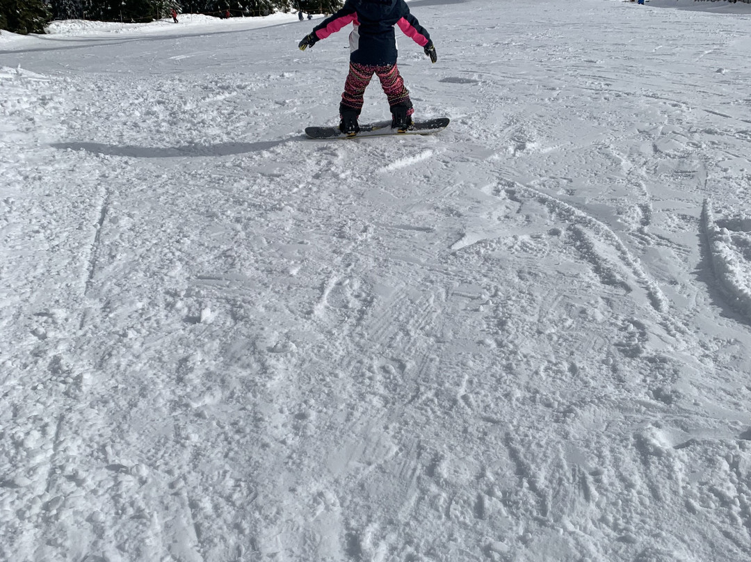 Mt Seymour-北温哥华必去景点