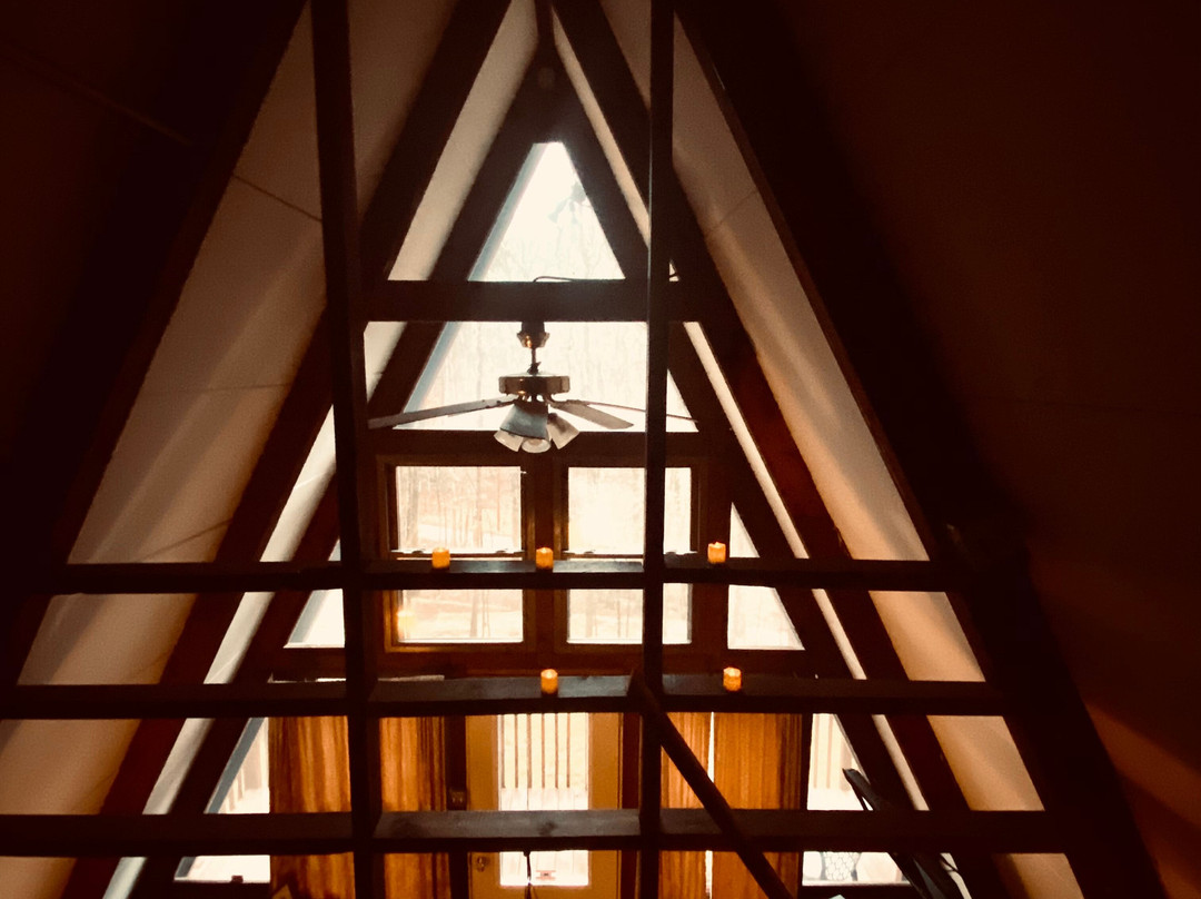 Robyn's Nest