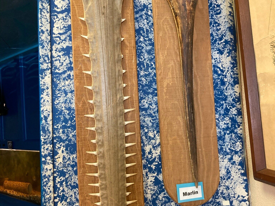 Ostego Bay Marine Science Center-迈尔斯堡海滩必去景点