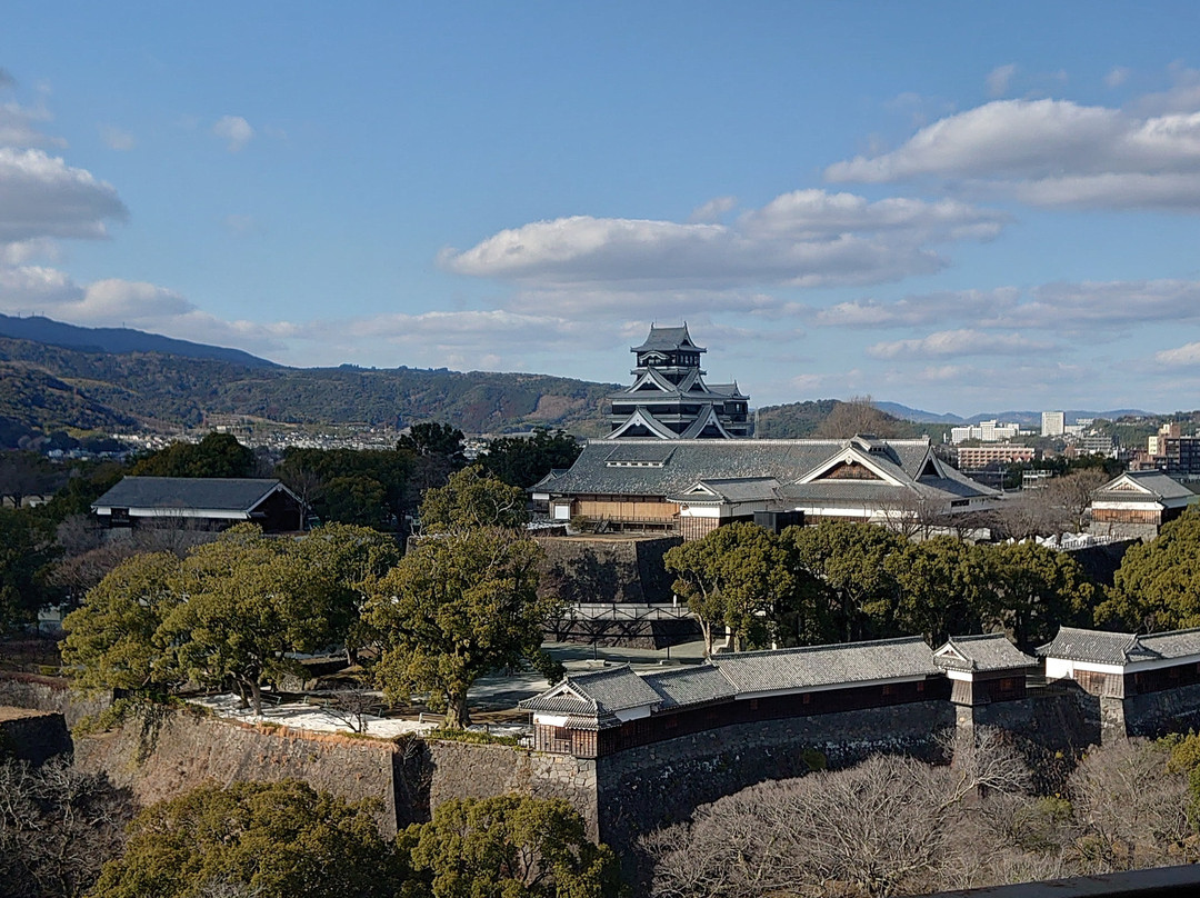 Kumamoto City Hall, Large Hall Floor景点图片