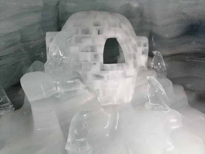 Ice Palace - Jungfraujoch-Jungfraujoch必去景点