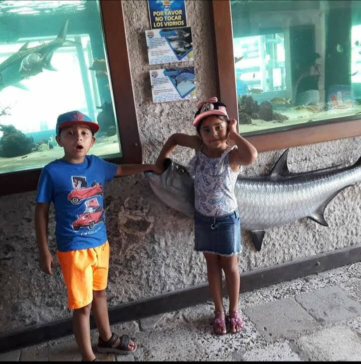 Rodadero Sea Aquarium and Museum-圣玛尔塔必去景点