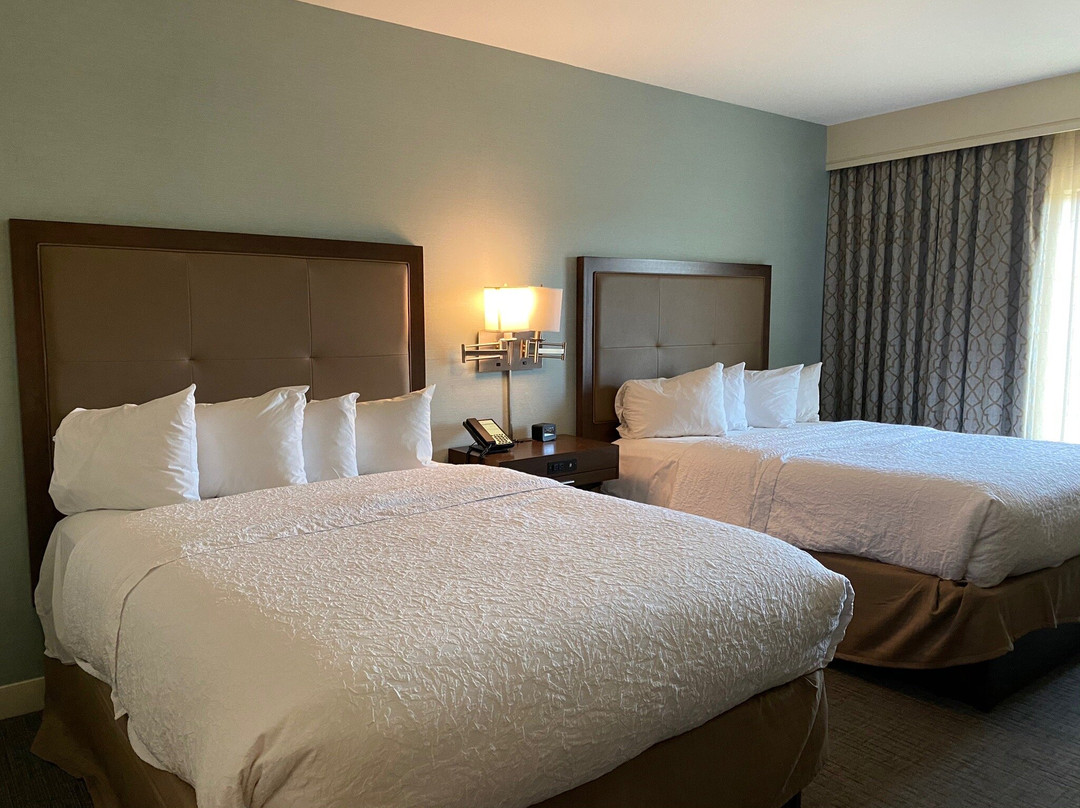 Hampton Inn & Suites Braselton主图