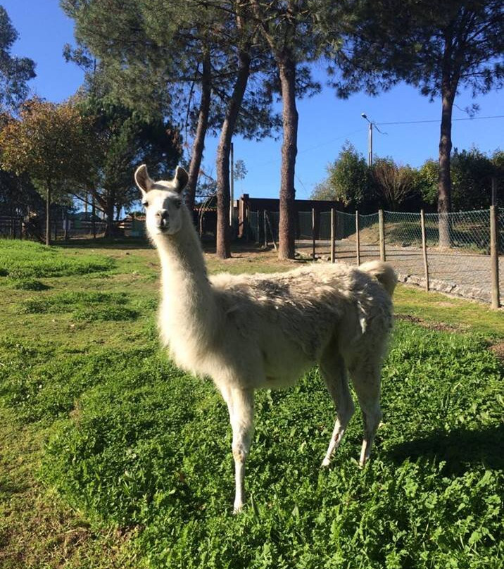 Quinta Pedagógica Quinta das Manas景点图片