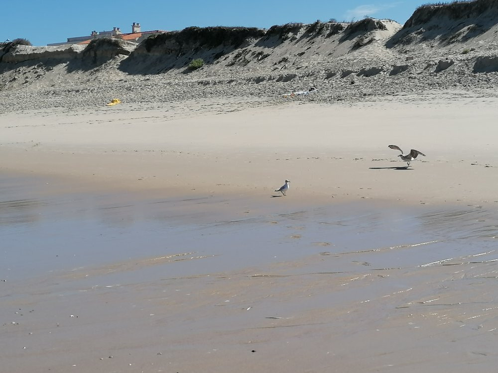 Praia da Leirosa景点图片