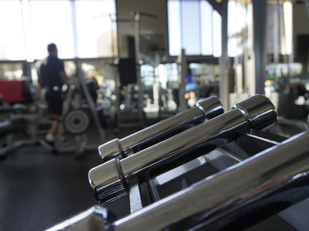Gimnasio Atenas-马贝拉必去景点